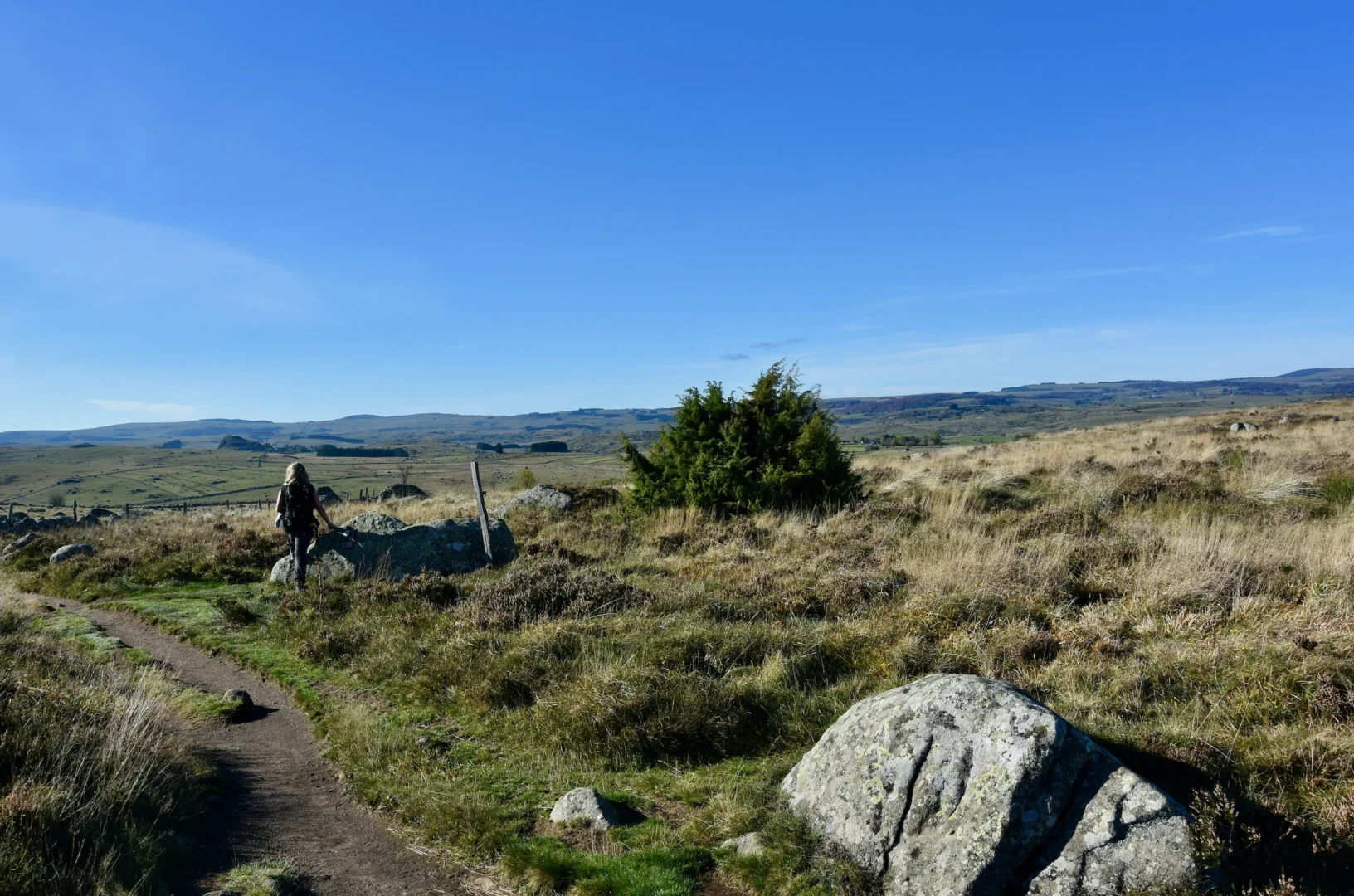 Randonnée au coeur des prairies de l'Aubrac